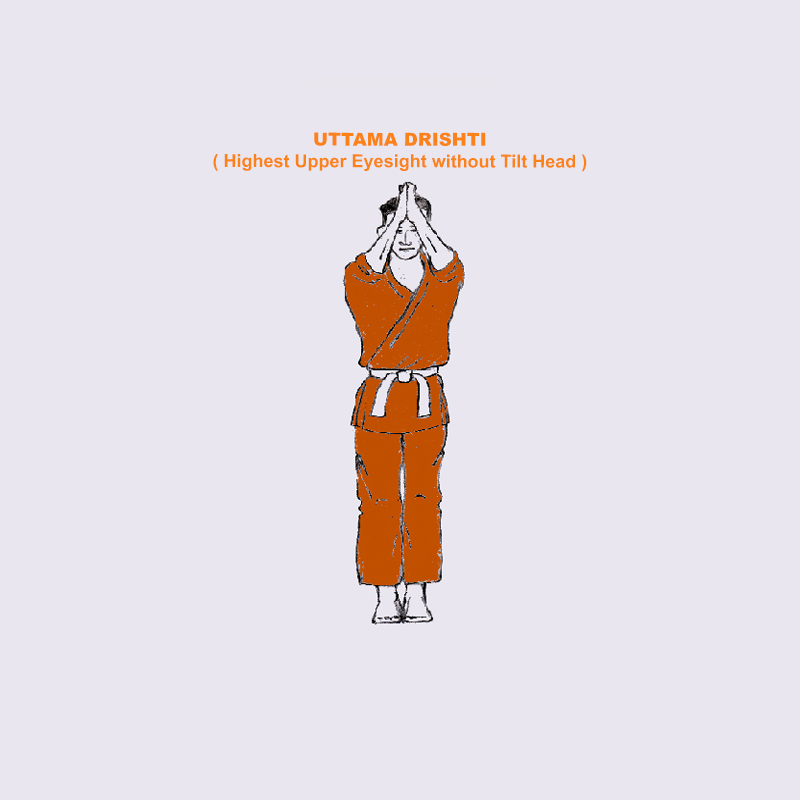 Surya Namaskara pose Uttama Drishti, highest upper eyesight in the Yoga Asana, Meditation and Mudra -2