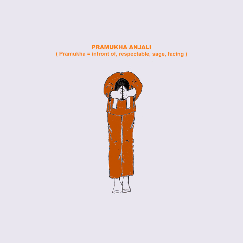 Surya Namaskara pose Pramukha Anjali, forward bend with both palm closed in the Yoga Asana, Meditation and Mudra -3