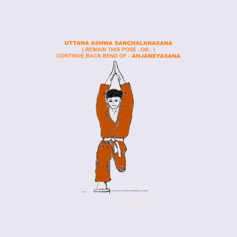 Surya Namaskara pose Anjaneyasana back bend in Utthita Ashwa Sanchalanasana, the raised lunge pose or equestrian horse riding in the Yoga Asana, Meditation and Mudra